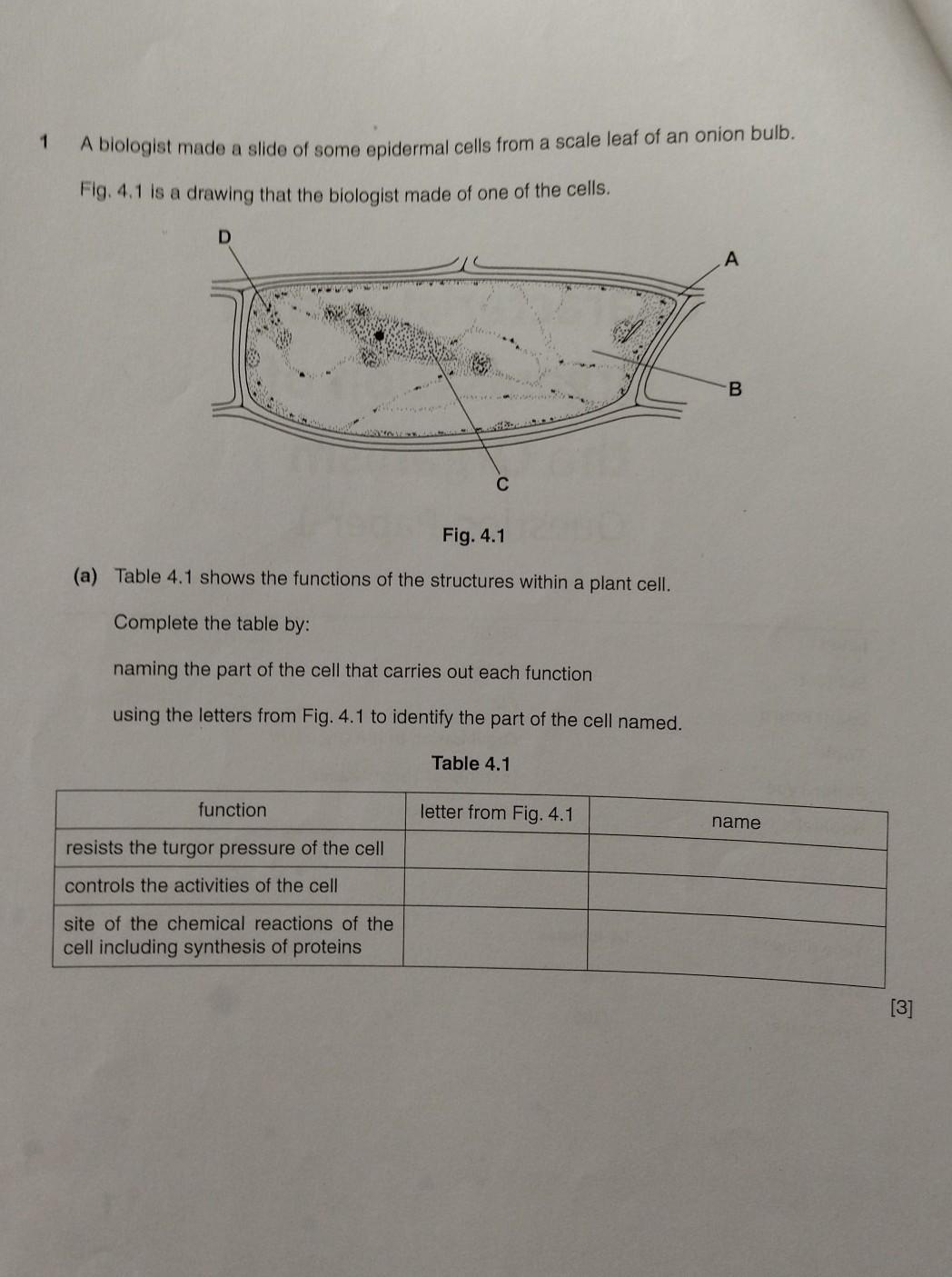 plzzzzzzzz help............