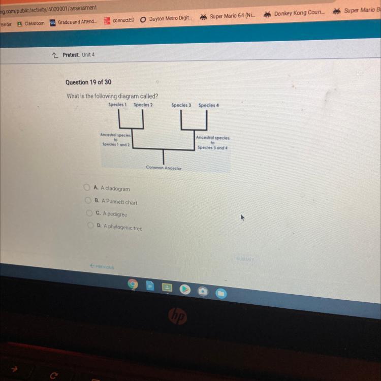 Question 19 of 30What is the following diagram called?A. A cladogramB. A Punnett chartC. A pedigreeD.