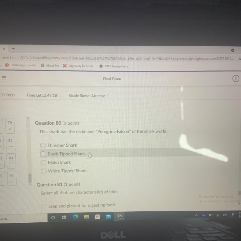 please answer this for me