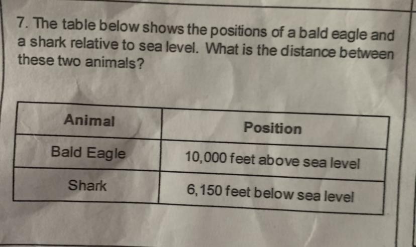 help me please !!!!!