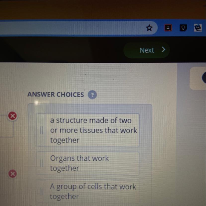 Which ones goes with organ,organ system, and tissue 