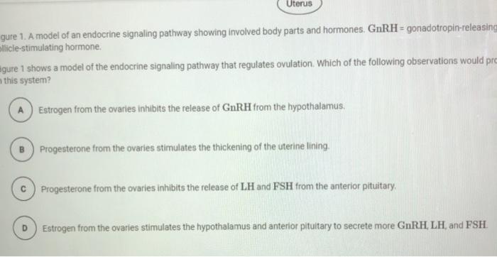Figure 1 Shows A Model Of The Endocrine Signaling Pathway That Regulates Ovulation. Which Of The Following