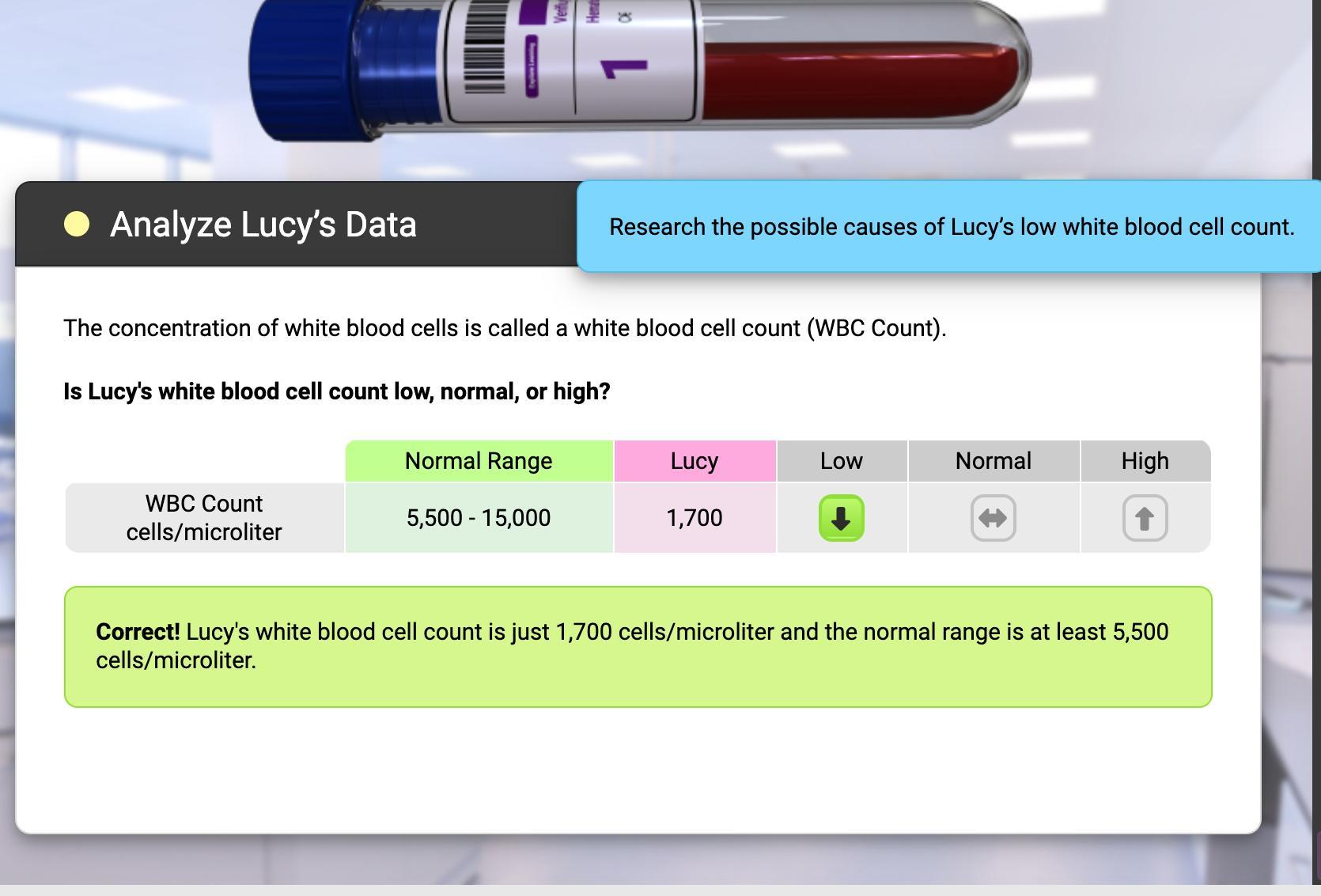 Is Lucy's white blood cell count low, normal, or high? (Protein Synthesis - High School STEM Case)