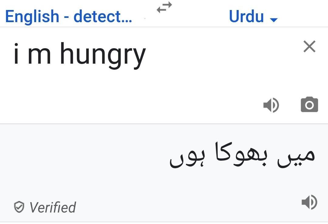 Translate i am hungry in urdu
