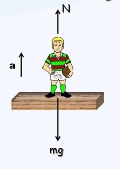 suppose you are standing in an elevator that is accelerating. what does the acceleration have to be so