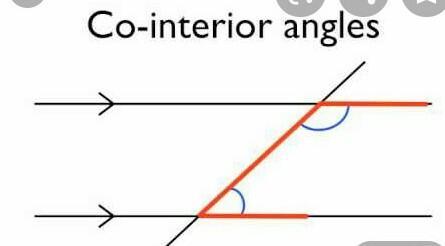 Plz help asap, dhdhhsbdhd