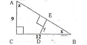 41) In Right Triangle ABC, AC = 9 And BC = 12 The Sine Of Angle Y Is