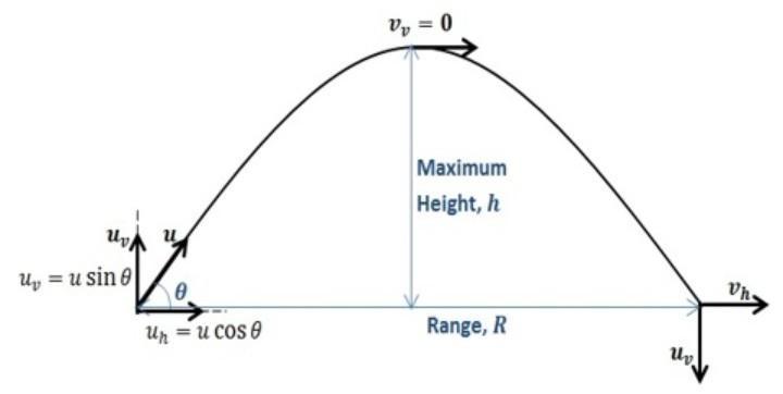 In projectile motion, why don't we add acceleration due to gravity on the formula of horizontal motion