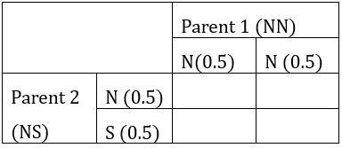 A person without the allele for sickle cell anemia has children with a person who is a carrier for sickle
