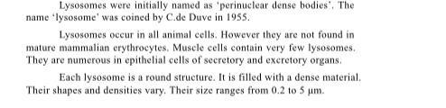 How are lysosomes pro-nuclear dense bodies?