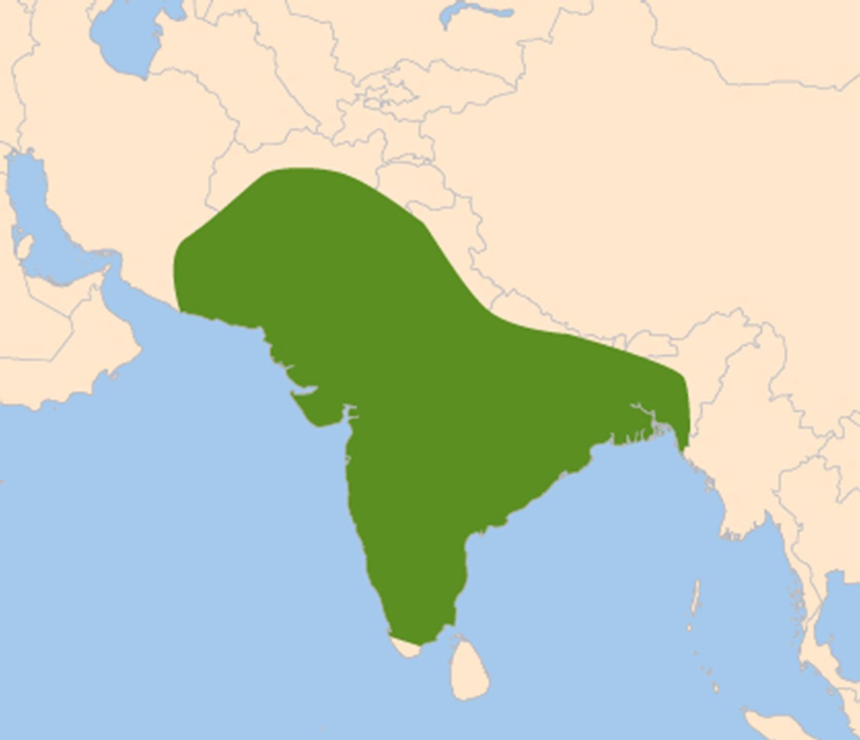 What does the shaded area on the map show?india after world war iibangladesh after world war iithe colony