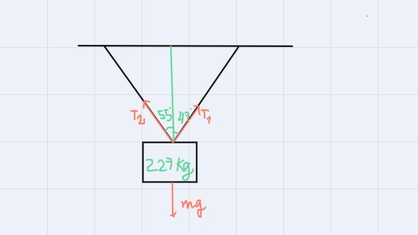 The Worlds Largest Hanging Basket Had A Mass Of 227 Kg And Can Be Found In London. To Put On Display,