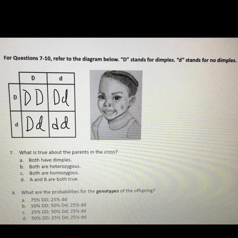 Can someone plz help me out. I dont really understand this.
