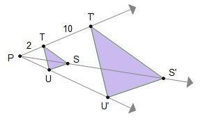 Which Statements Justify That The Dilation Of Triangle Stu Is An Enlargement Increasing Its Size By The