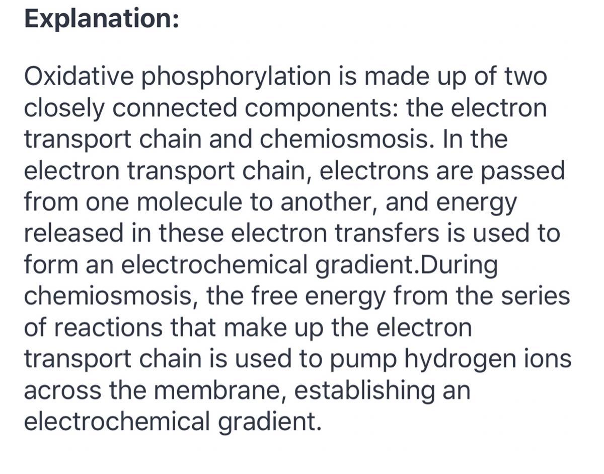 Describe The Process Of Oxidative Phosphorylation