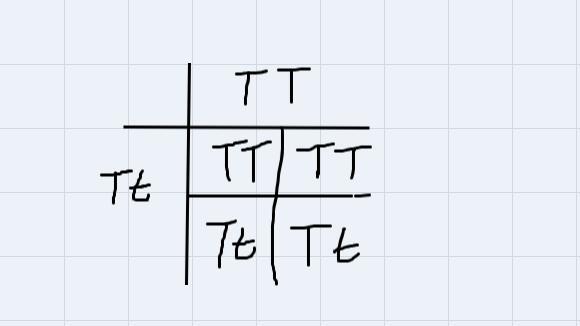 In Corn, The Allele For Yellow Kernels (Y) Is Dominant To White Kernels (y) And The Allele For Tall Plants