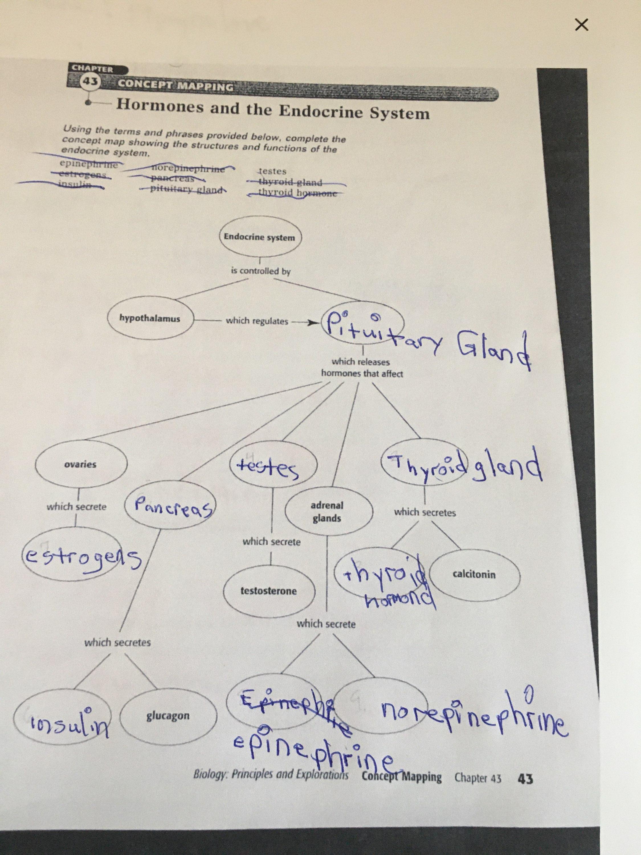 Help! Biology Concept Mapping Hormones and The Endocrine System. (Chapter 43 in Biology - Principles