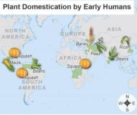 PLS HELP ME ;c What are the best reasons for using this map? Choose two correct answers. to determine