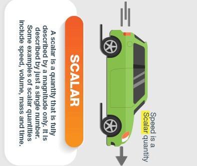 What are vectors and Scalar?