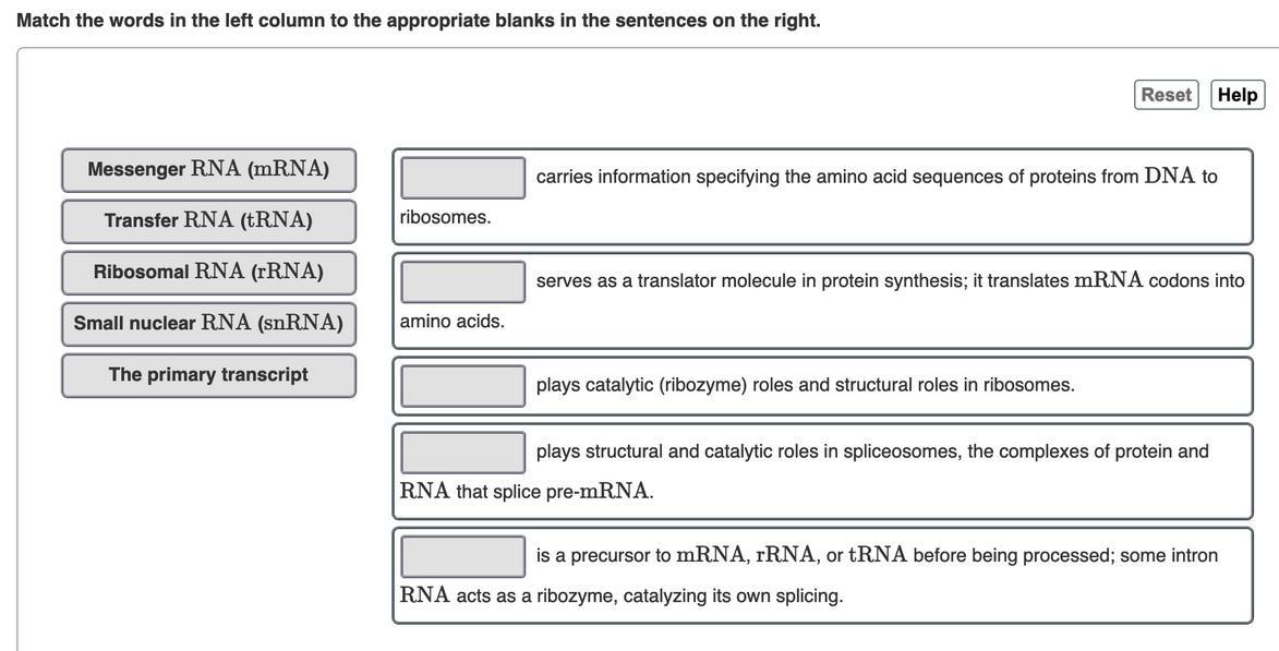 complete the following table: type of rnafunctionsmessenger rna (mrna)transfer rna (trna)in a ribosome,