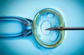 Vignette: George and Kathy have tried unsuccessfully for several years to have a baby. Kathy has endometriosis