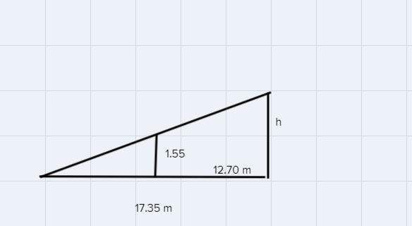 zoe is 1.55 meters tall. at 2 pm she measure the lenght of a tree's shadow to be 17.35 meters . she stands