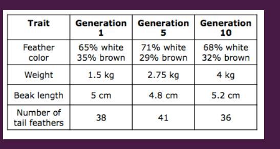 Allbivibni evig tomO1. The table displays data about the presence of certain traits in a population of