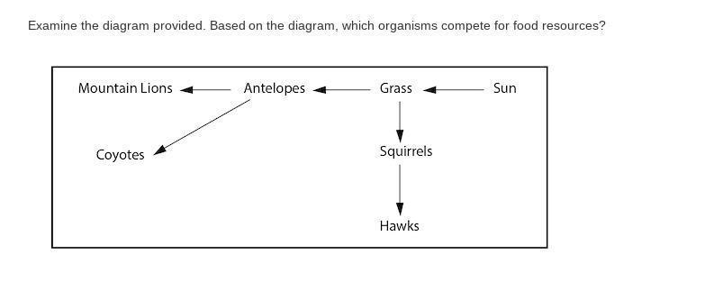Examine the diagram provided. Based on the diagram, which organisms compete for food resources?8. Refer