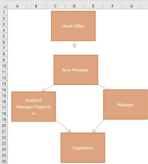 draw up an organisation chart for a small to medium sized organisation of your choice. when it is completed,