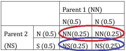 A person without the allele for sickle cell anemia has children with a person who is a carrier for sickle