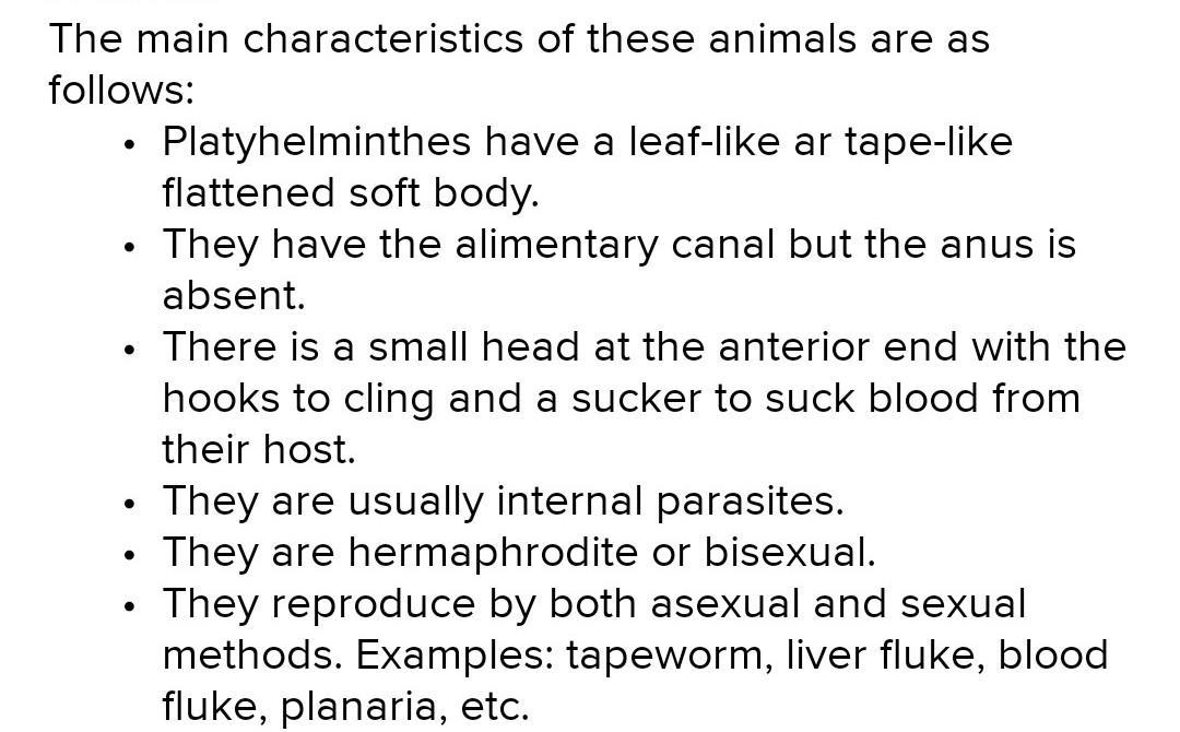 the characteristics of Phylum Platyhelminthes are
