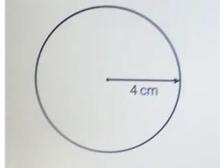 Work out he area of this circle. Take pi to be 3. 142 and give your answer to 1 decimal place