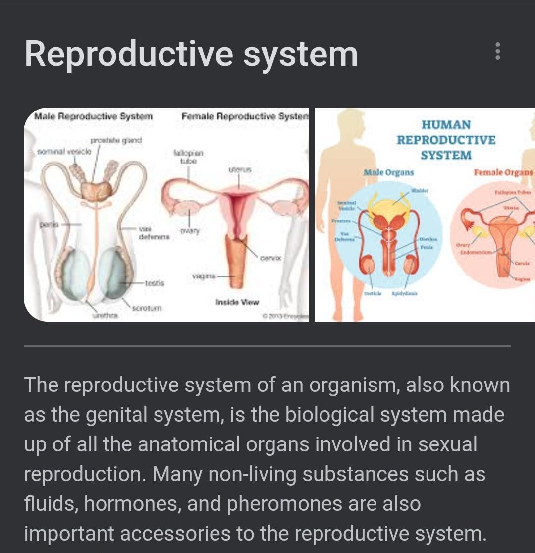 reproduction system definition