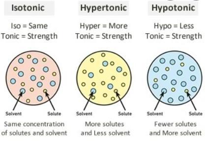 The Health Care Provider Has Ordered A Hypotonic Intravenous (iv) Solution To Be Administered. Which