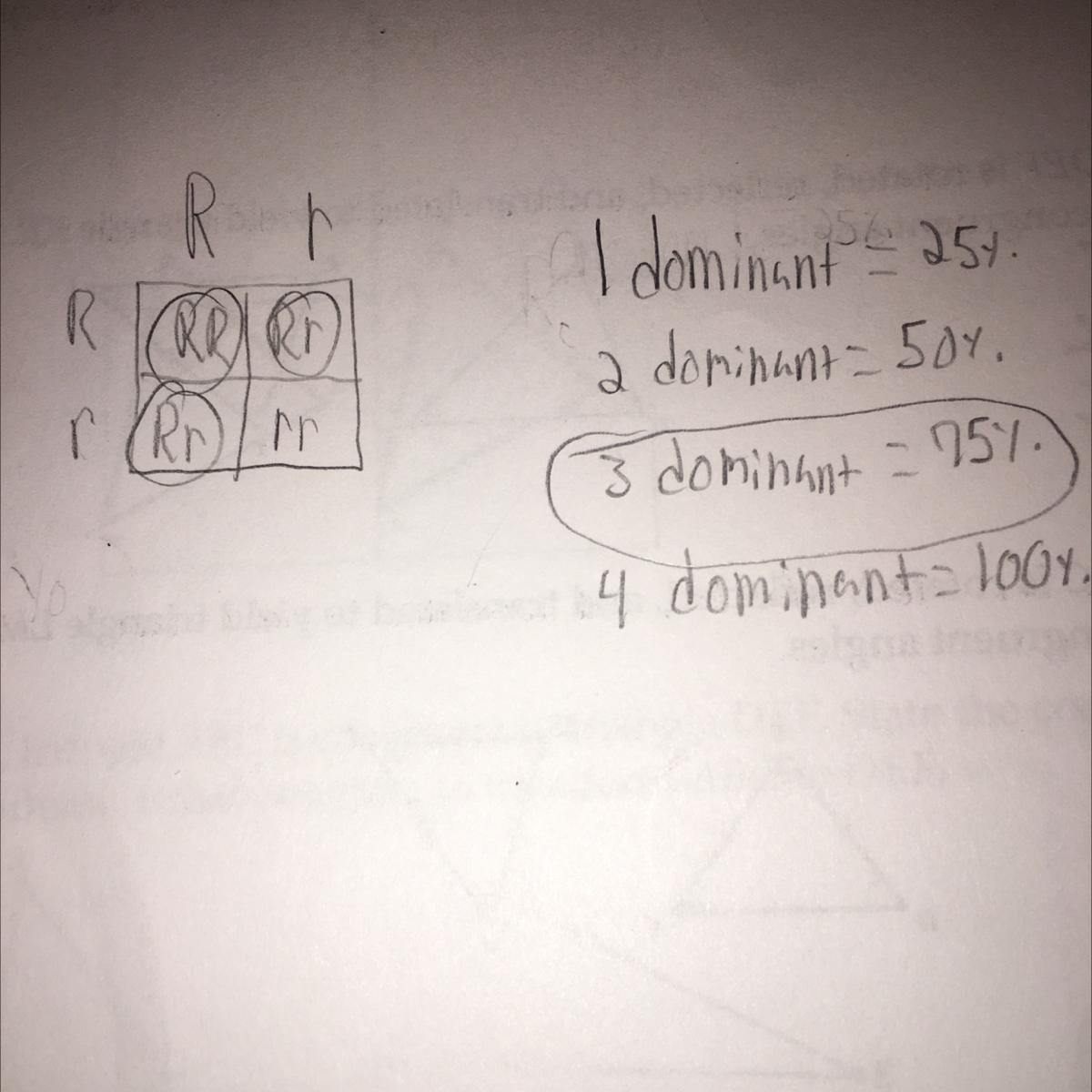 he diagram below represents a cross between two pea plants. Rr X Rr. In pea plants, the allele for round