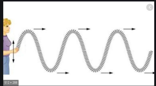 Water waves are waves because the wave moves up and down. transverse longitudinal