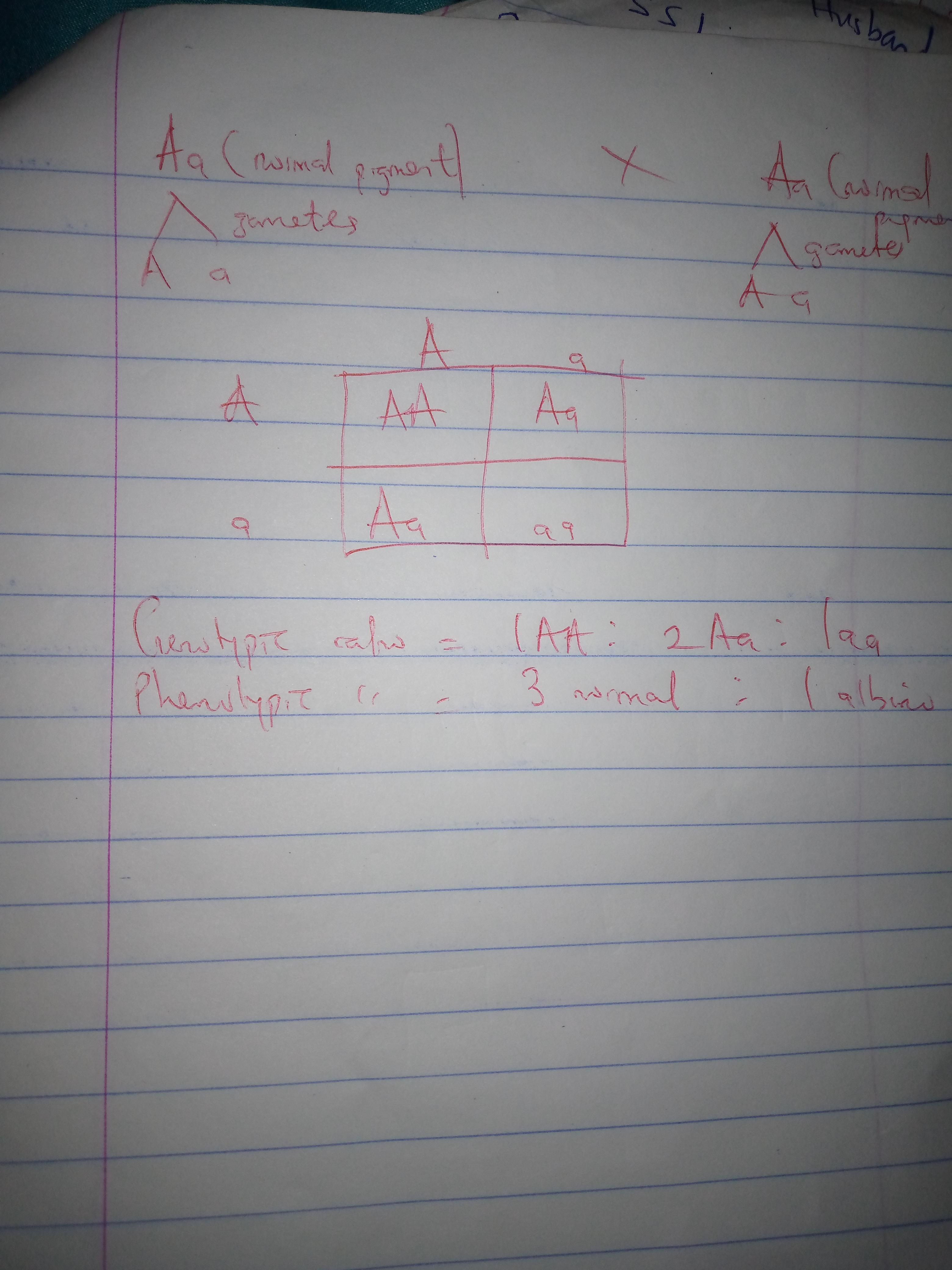 Albinoism Is An Autosomal Recessive Trait. What Is The Probability Of Twoheterozygous Parents Having