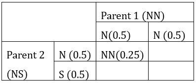 A person without the allele for sickle cell anemia has children with a person who is a carrier for sickle