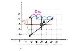 A Pole Is Located At Point D On The Plot Land At A Distance Of 10 Meters From AB And 5 Meters From AC