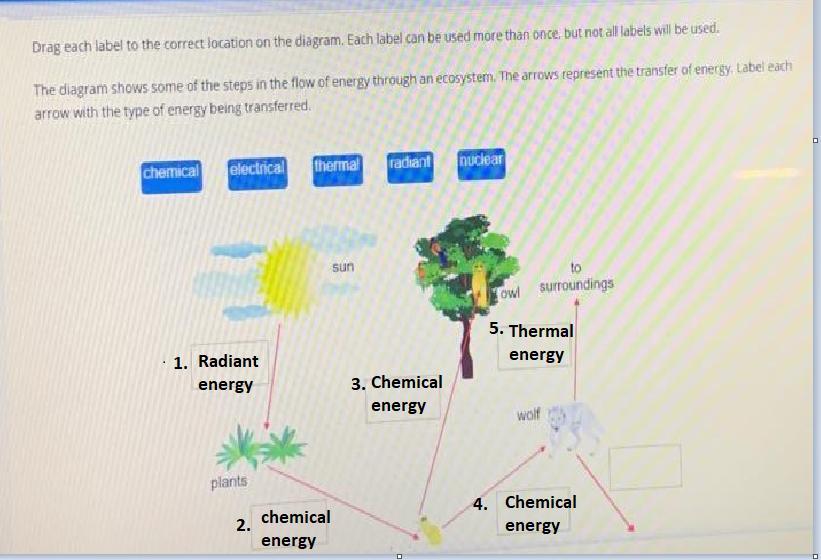 Drag Each Label To The Correct Location On The Diagram. Each Label Can Be Used More Than Once, But Not