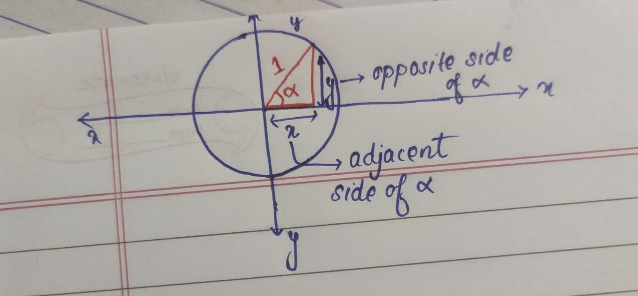 PLEASE HELP !! When a right triangle with a hypotenuse of 1 is placed in the unit circle, which sides