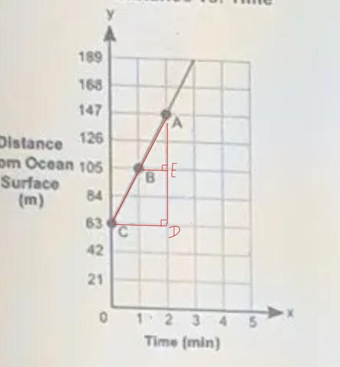 The graph shows the depth, y, in meters, of a shark from the surface of an ocean for a certain amount
