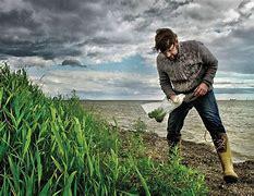 __________ foragers tend to be found in harsher environments while __________ are more likely to live