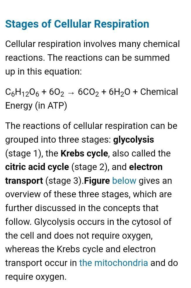 Adenosine triphosphate (ATP) is considered to be the energy currency of life. It is the high-energy molecule