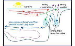 PLEASE 78 POINTS I NEED HELP!!!!!!!!! LAB REPORT OCEAN CURRENTS K12!!!!