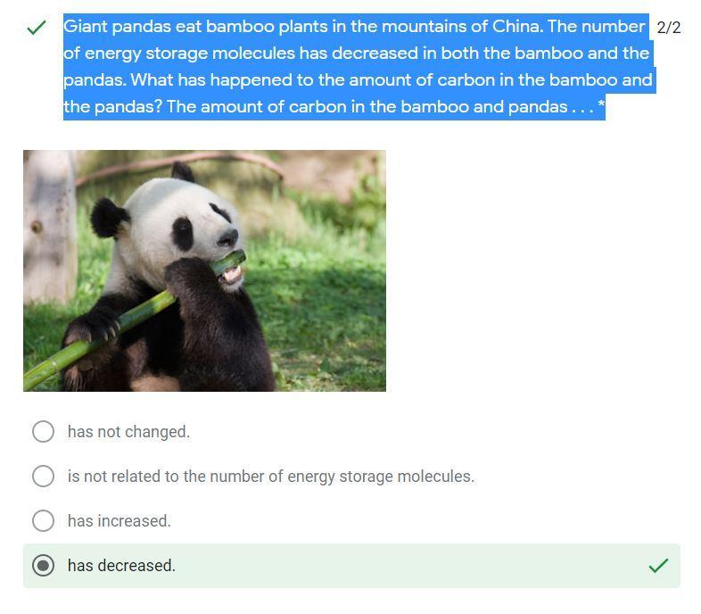 10. Giant pandas eat bamboo plants in the mountains of China. The number of energystorage molecules has