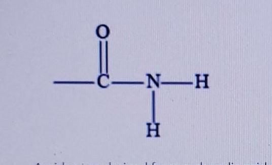 Name The Type Of Organic Compound From Each Description Of The Functional Group: (a) N-containing Group