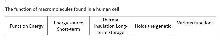 A student creates a table to compare the function of macromolecules found in a human cell. However, the