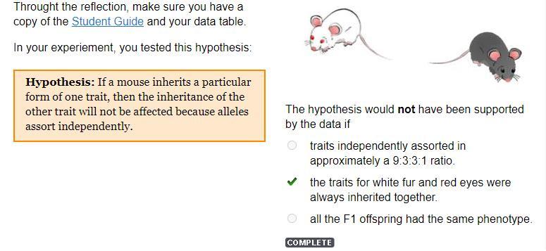 The hypothesis would not have been supportedby the data if...A. traits independently assorted inapproximately