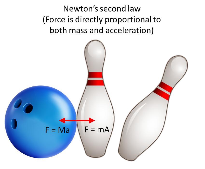 I NEED HELP PLEASE, THANKS! Find or draw at least two pictures that illustrates Newtons Second Law. Write